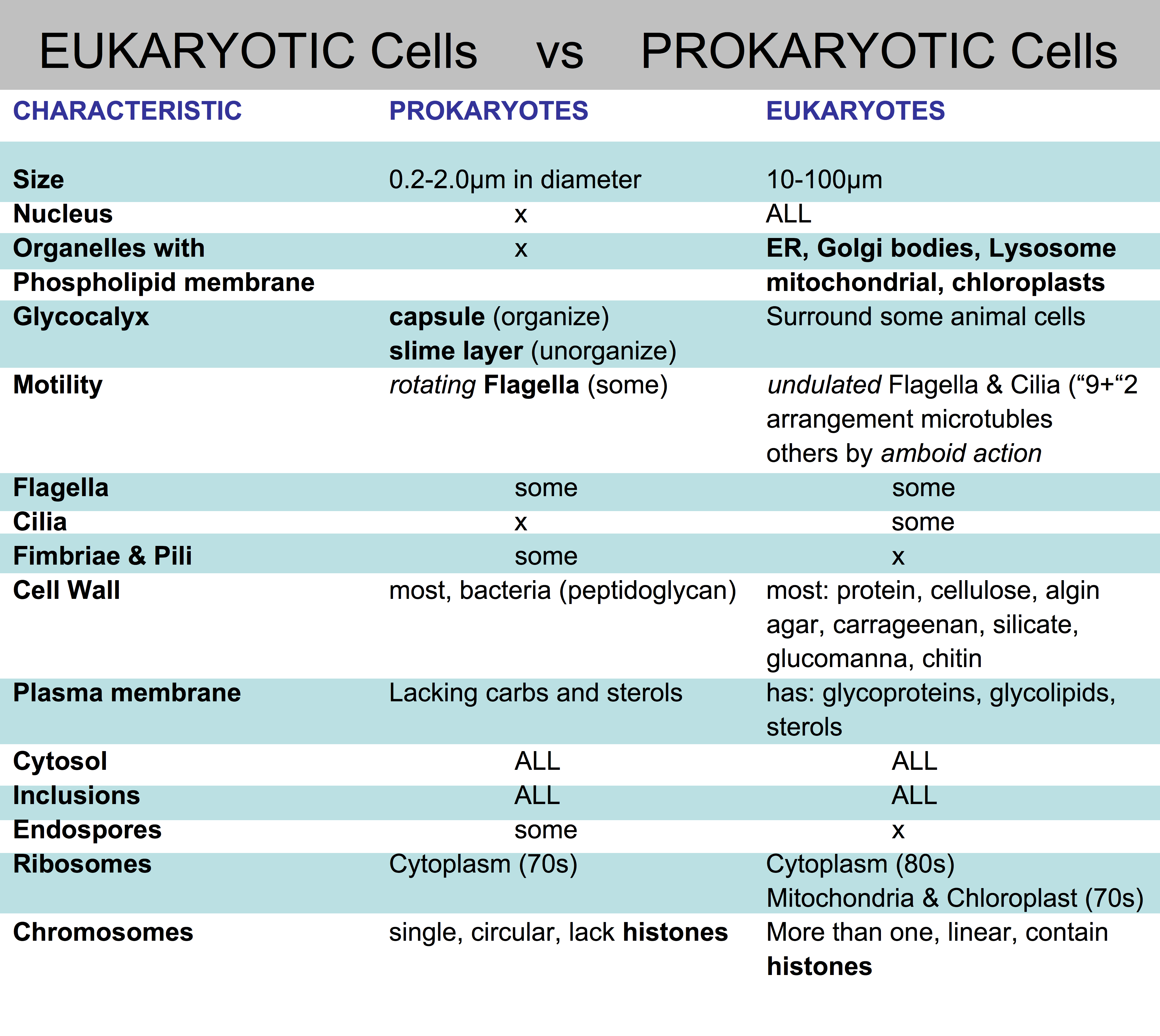 Eukaryotic cell vs prokaryotic cell   difference and 
